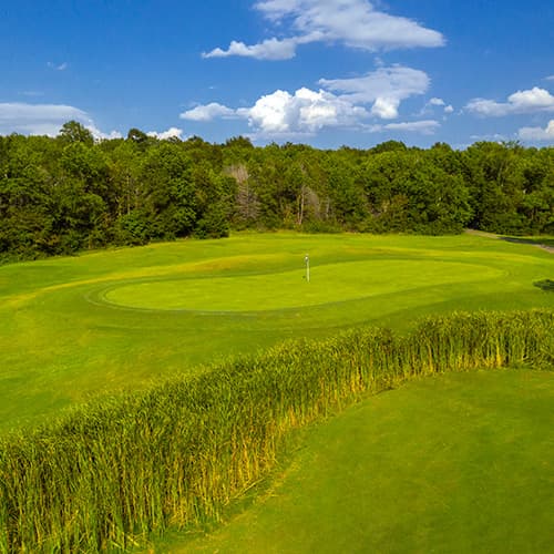 Pine Creek course view 10