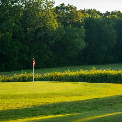 Pine Creek course view 2